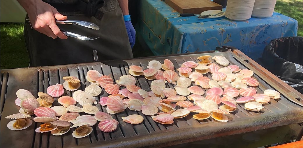 BBQ Scallops